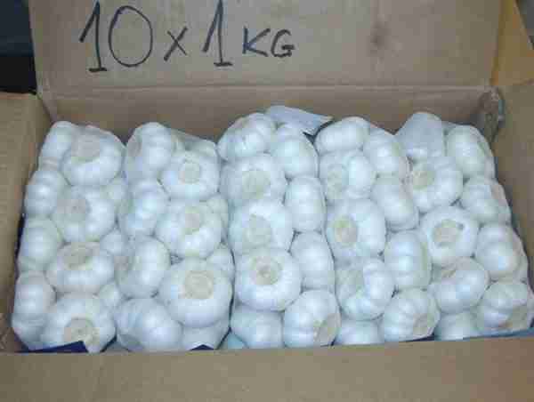 Fresh Pure White Garlic - Image 3