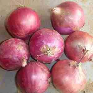 Fresh Onion