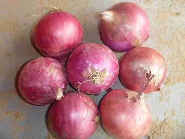 Fresh Onion