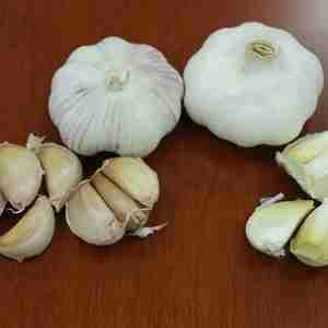 Fresh Normal White Garlic (可变)