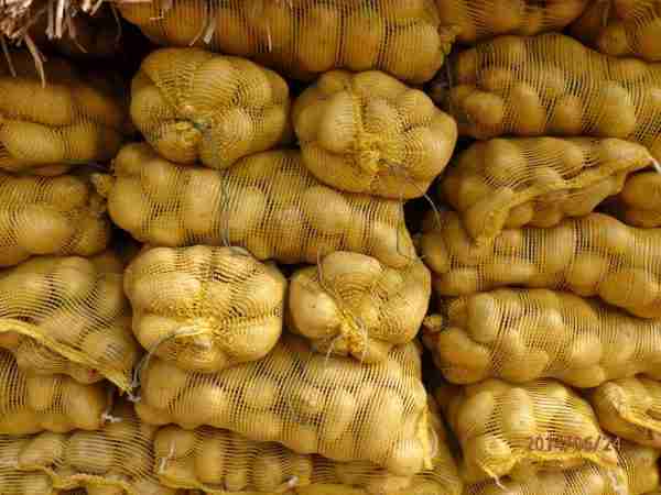 Fresh Potato - Image 4