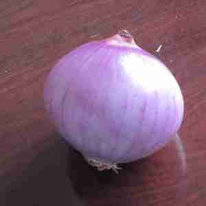Onion